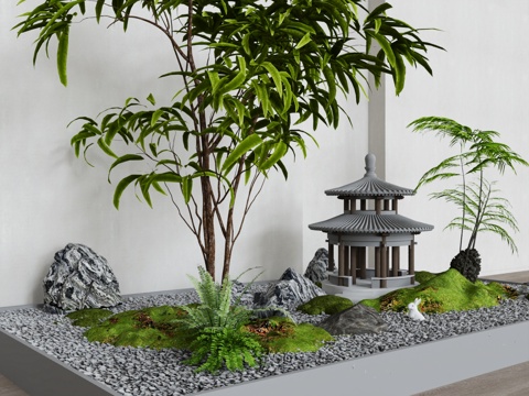 indoor landscape plant landscaping