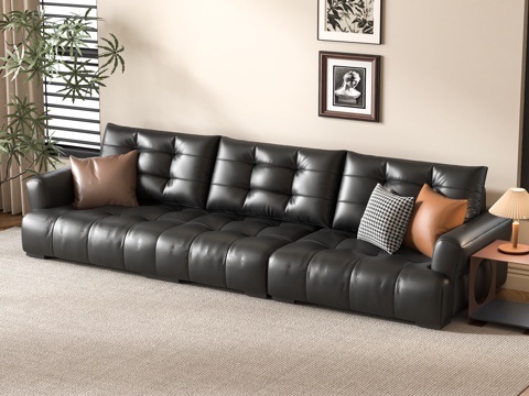 Couch leather sofa