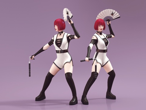 Female Ninja Game Character