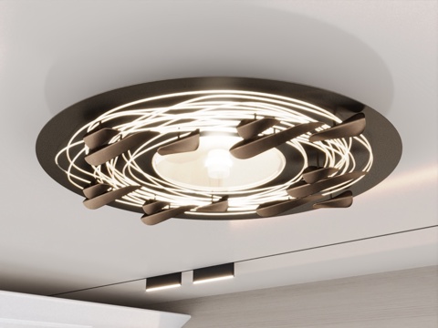 Modern ceiling lamp decorative chandelier