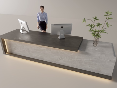 Modern Company Front Desk Service Desk