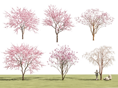 Trees Trees Landscape Trees Street Trees Maple Leaf Trees Sakura Trees Pink Trees Courtyard Trees