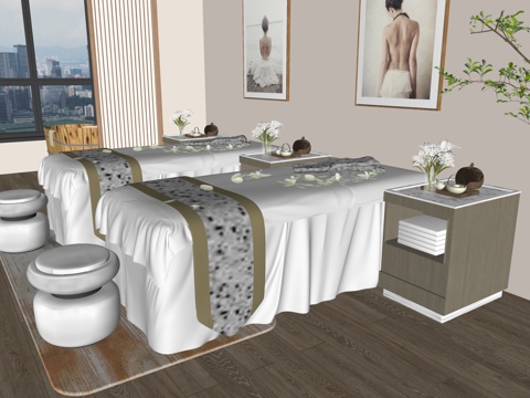 Modern Spa Spa Room