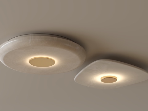 modern ceiling lamp