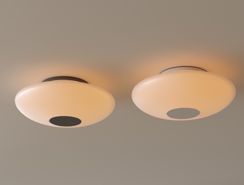 modern ceiling lamp