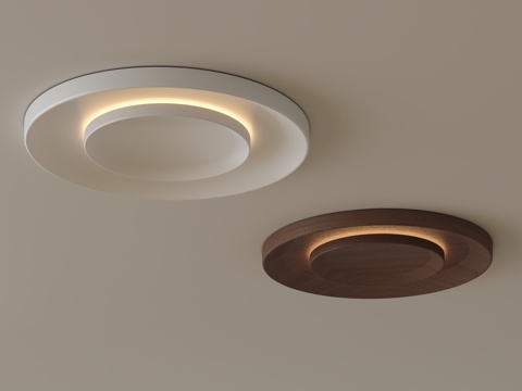 Modern Ceiling Lamp Round Ceiling Lamp