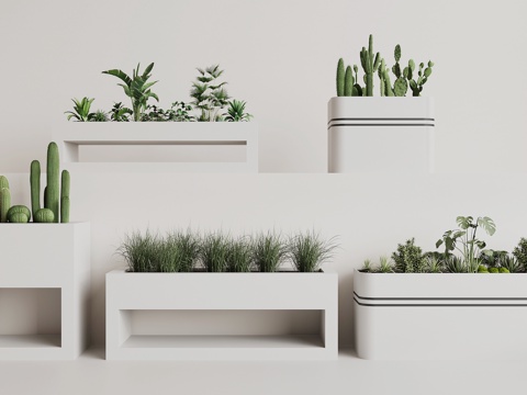 Modern Flower Box