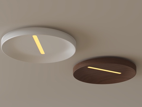 modern ceiling lamp