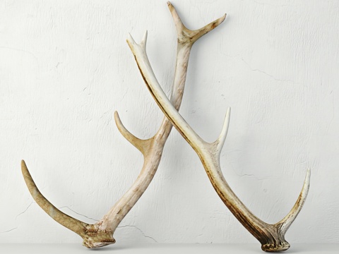 antler sculpture art ornaments