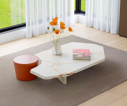 Modern irregular coffee table