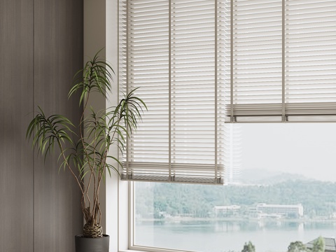 modern curtain venetian blinds