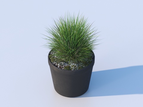 flowerpot potted plant green plant