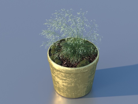 flowerpot potted plant green plant