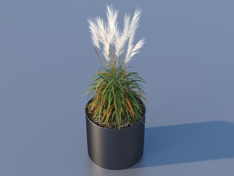 flowerpot potted plant green plant