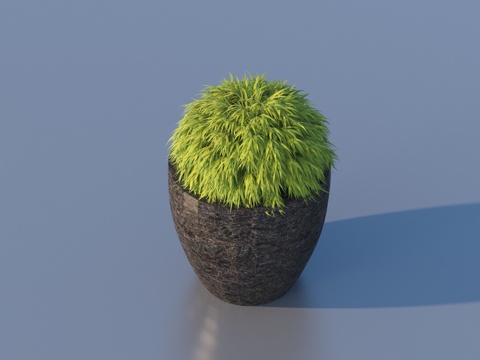 flowerpot potted plant green plant