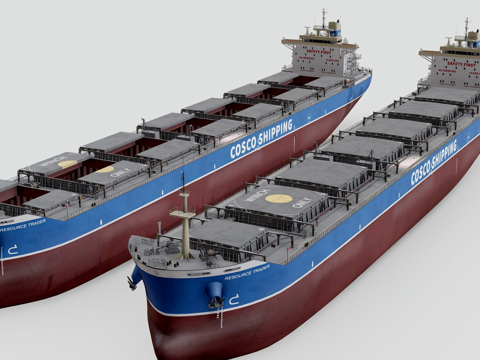 Bulk Carrier Carrier Ship