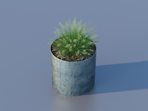 flowerpot potted plant green plant