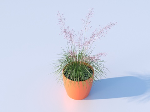 flowerpot potted plant green plant