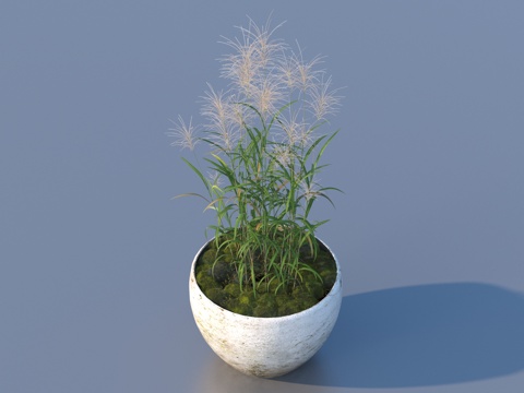 flowerpot potted plant green plant