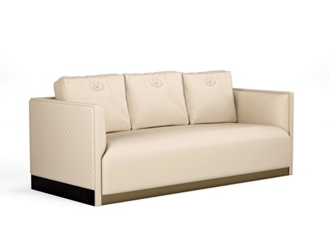 Couch leather sofa