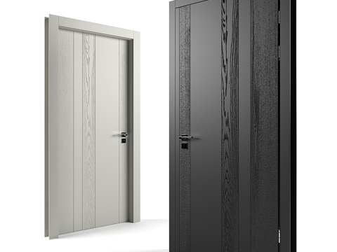 Modern entry door swing door