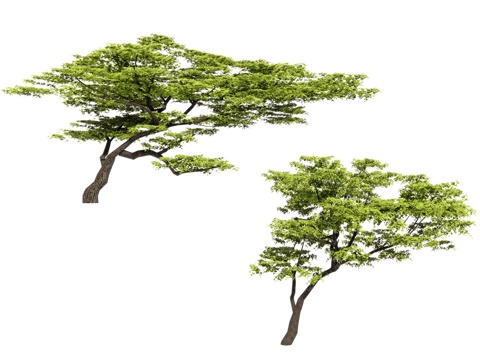 Oblique floating tree floating branch tree crooked neck tree biased crown tree modeling tree curved rod tree