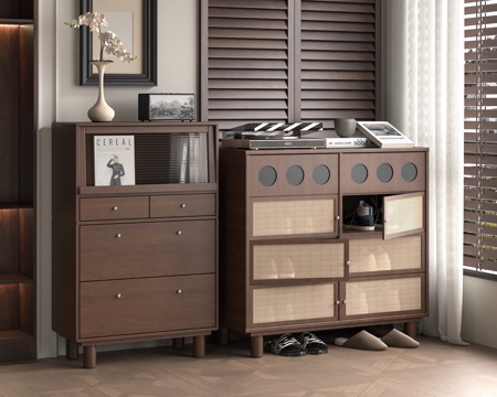 Mid-century Style shoe cabinet