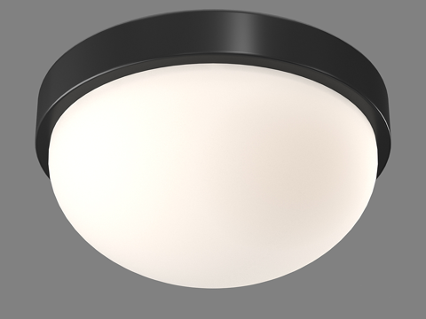 modern ceiling lamp