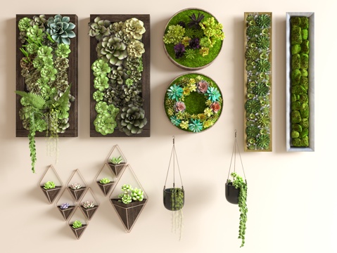 Plant wall decoration succulent plant wall