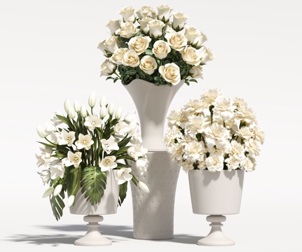 Modern Vase Flowers