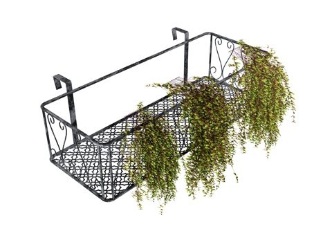 Green plant potted wrought iron flower basket