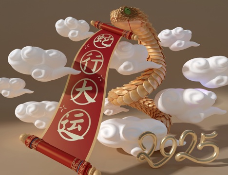 Year of the Snake Mei Chen