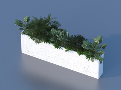 Flower box fern plant pile