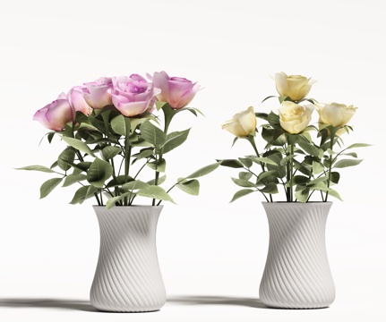 Modern Vase Flowers