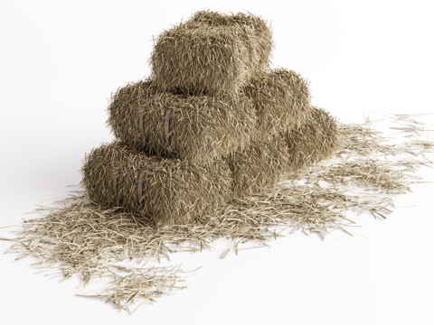 Modern forage haystack