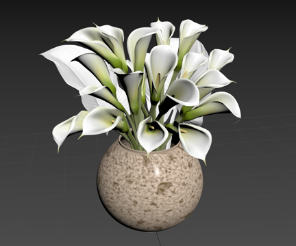 Modern Vase Flowers