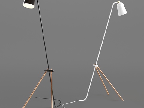 Modern floor lamp lighting lamp