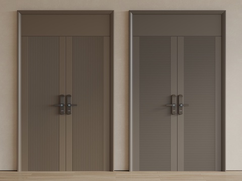 Modern Double Doors