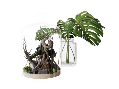 vase plant tortoise leaf tropical plant ornaments