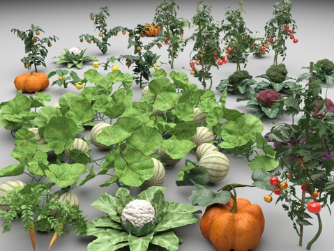 vegetables pumpkin tomato cauliflower carrot carrot watermelon melon melon blue flower