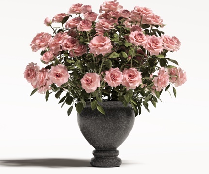 Modern Vase Flowers