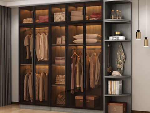 Affordable Luxury Style Glass Wardrobe