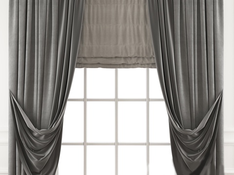 Modern Curtain Window Screen