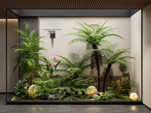 Modern indoor landscape plant landscaping