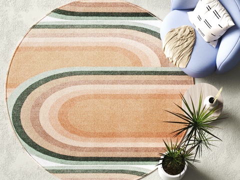 Modern Round Carpet