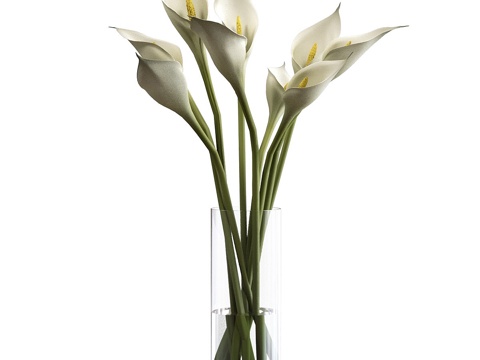 Calla Flower Vase