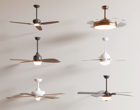 Modern fan light ceiling fan light