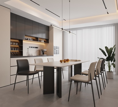 Modern Minimalist DiningRoom