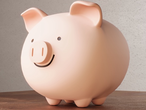 Piggy Doll Piggy Bank