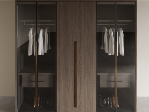 Modern glass wardrobe